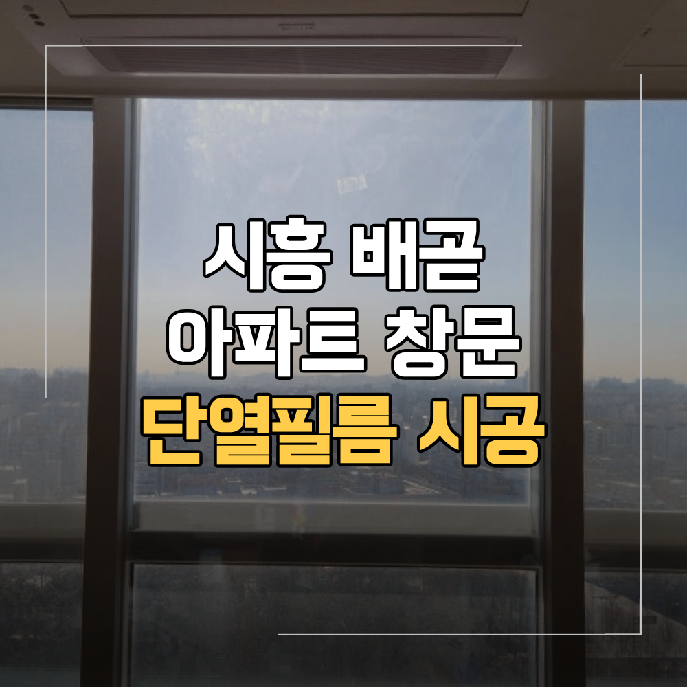 시흥 배곧 아파트 단열 필름 창문 시공 현장